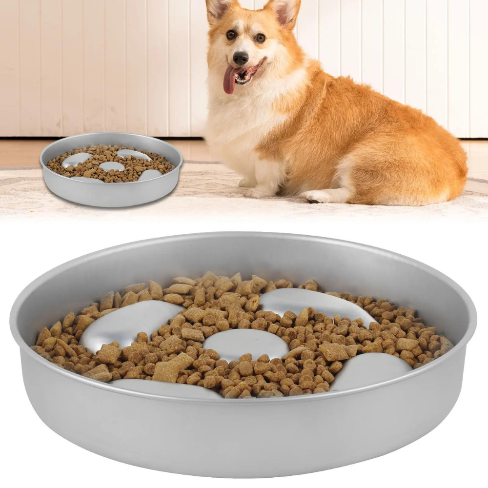 HealthyPaws • Dog Feeding Bowl Slow