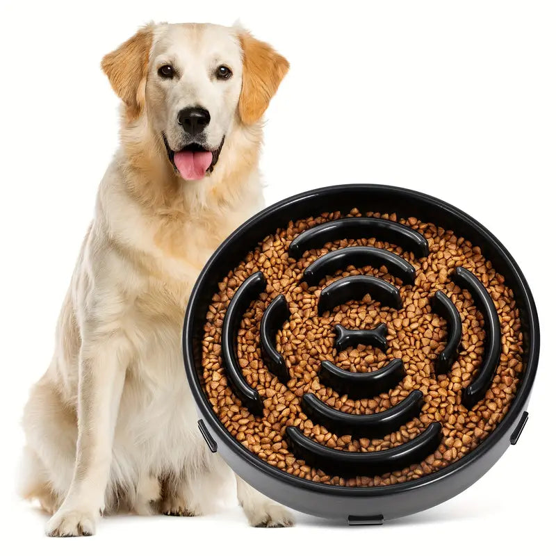 MunchMaze • Dog Feeding Bowl Slow