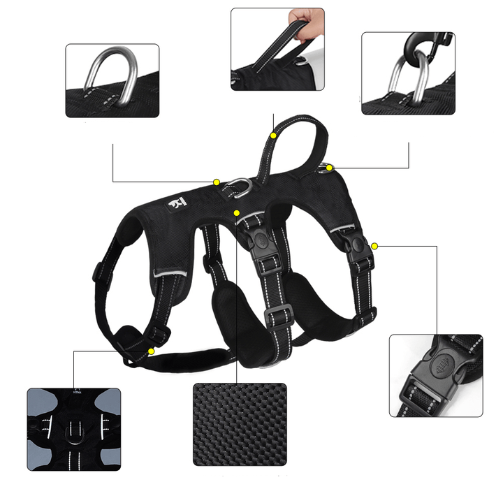BowLift | Reflective & escape-proof for relaxed walks