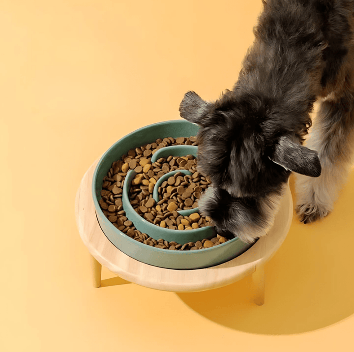 BowLift | Premium Slow Feeder Bowl for Dogs & Cats