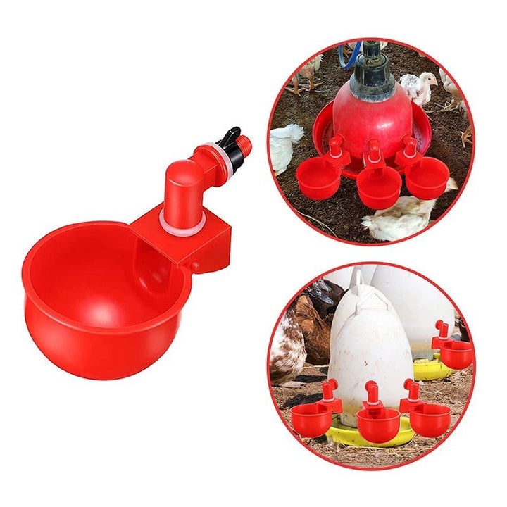 BowLift | Automatic Poultry Drinker