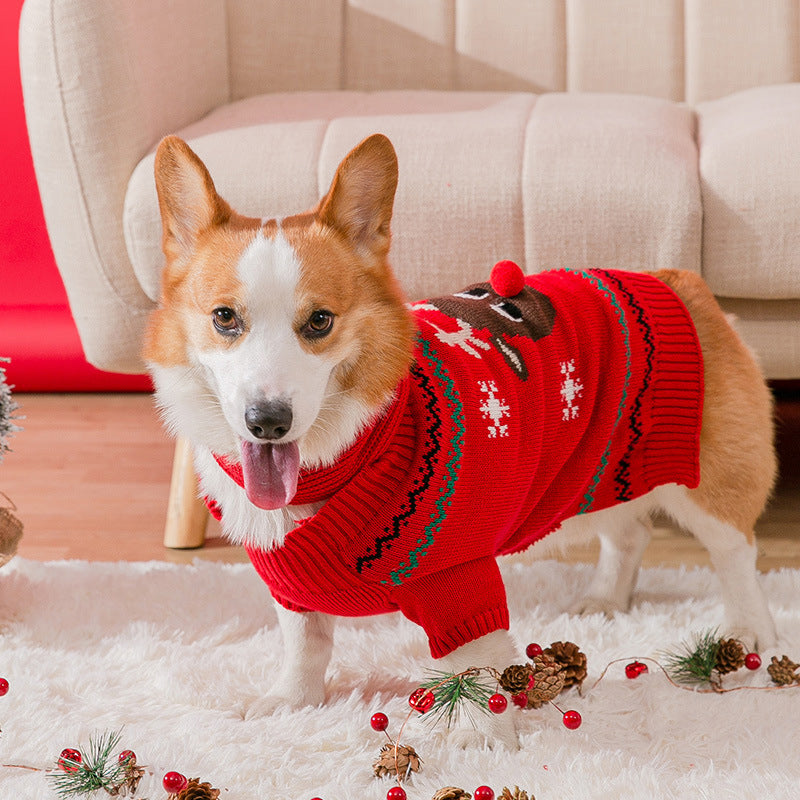 Warm Christmas clothing for pets | Bowlift