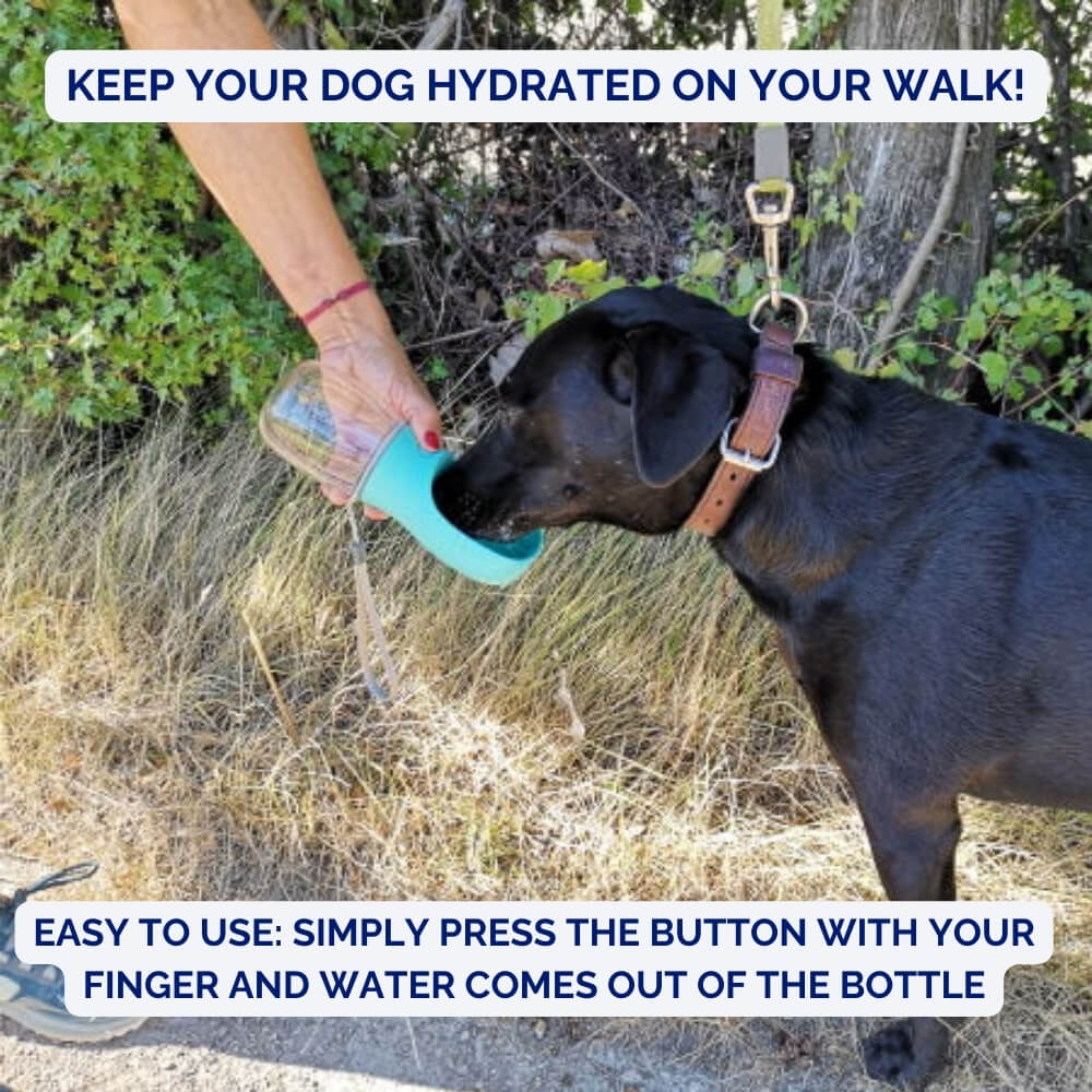 AquaPaws • Portable Dog Water Bottle