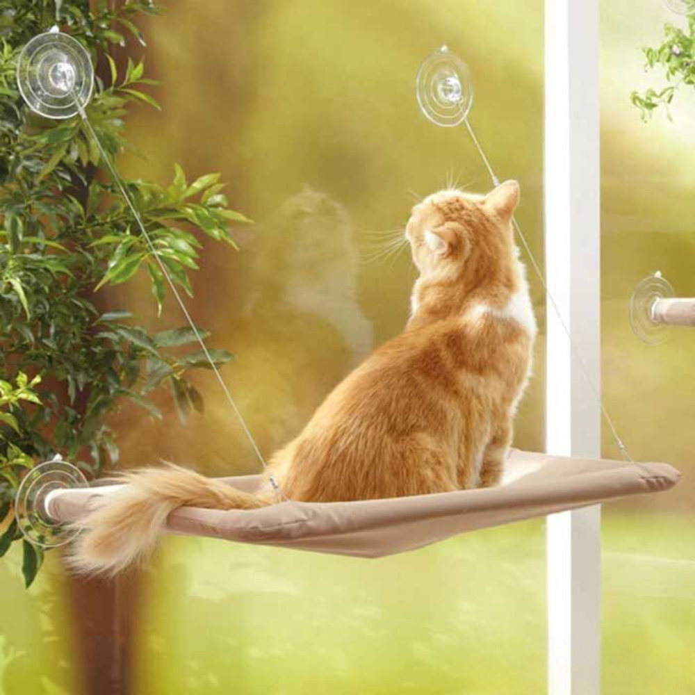 CloudNest • Cat Window Hammock