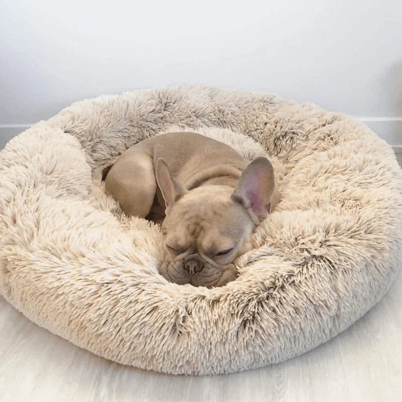 BowLift | Orthopedic Plush Donut Dog Bed