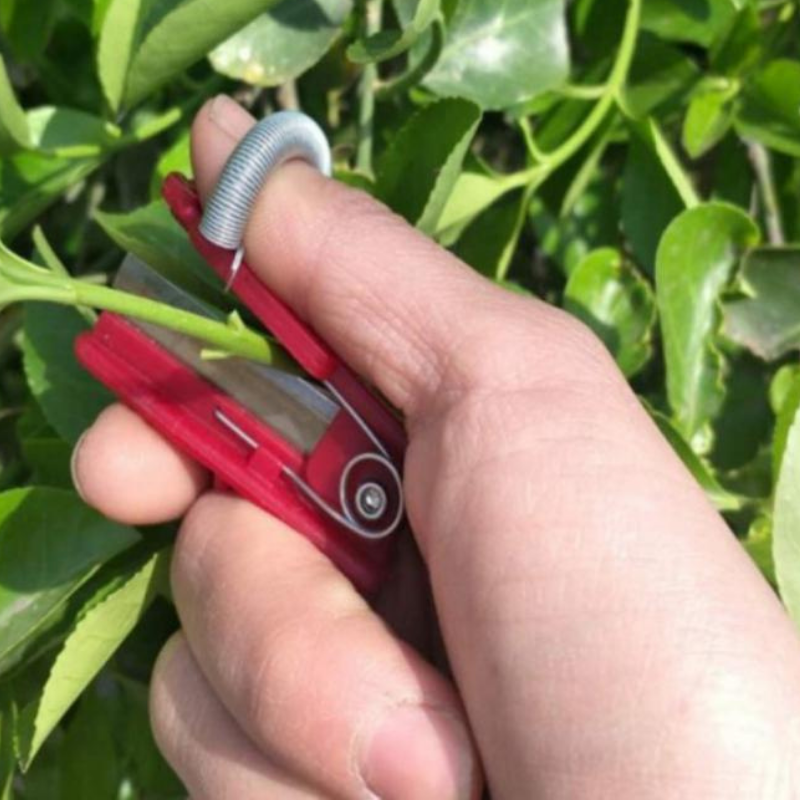 GardenGrip Tool – Easy Vegetable and Fruit Picking Bowlift