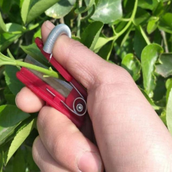 GardenGrip Tool – Easy Vegetable and Fruit Picking Bowlift