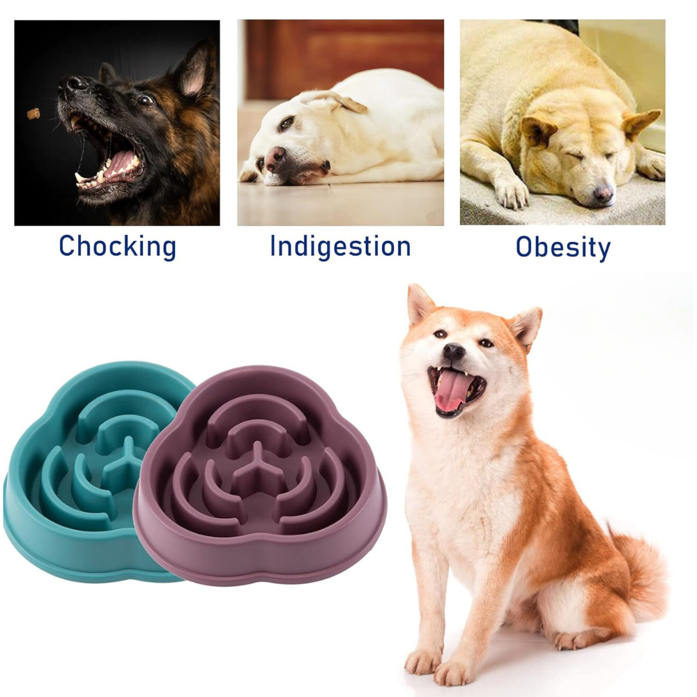 HealthyBowl •  Dog Feeding Bowl Slow