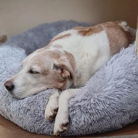 BowLift | Fluffy Calming Pet Bed for Dogs and Cats