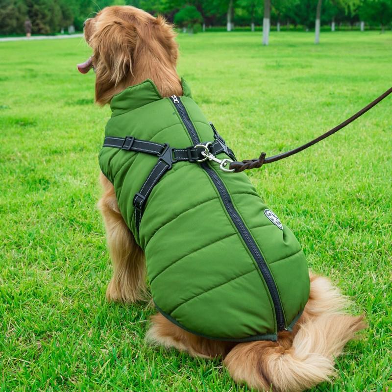 BowLift | Winter Zipper Coat for Dogs