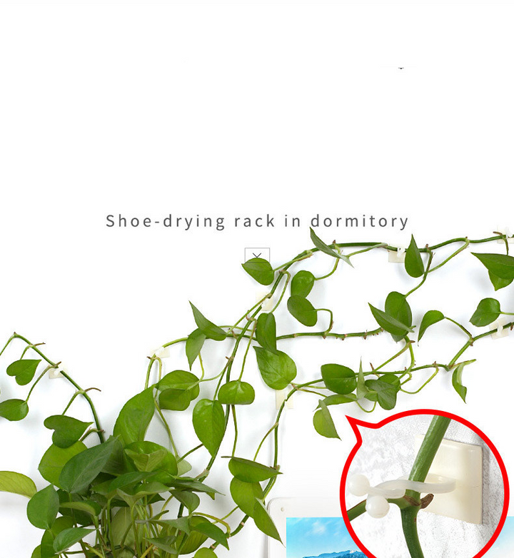 BowLift | Climbing Wall Mounting Clips – Practical Plant Holders for Wall Decoration