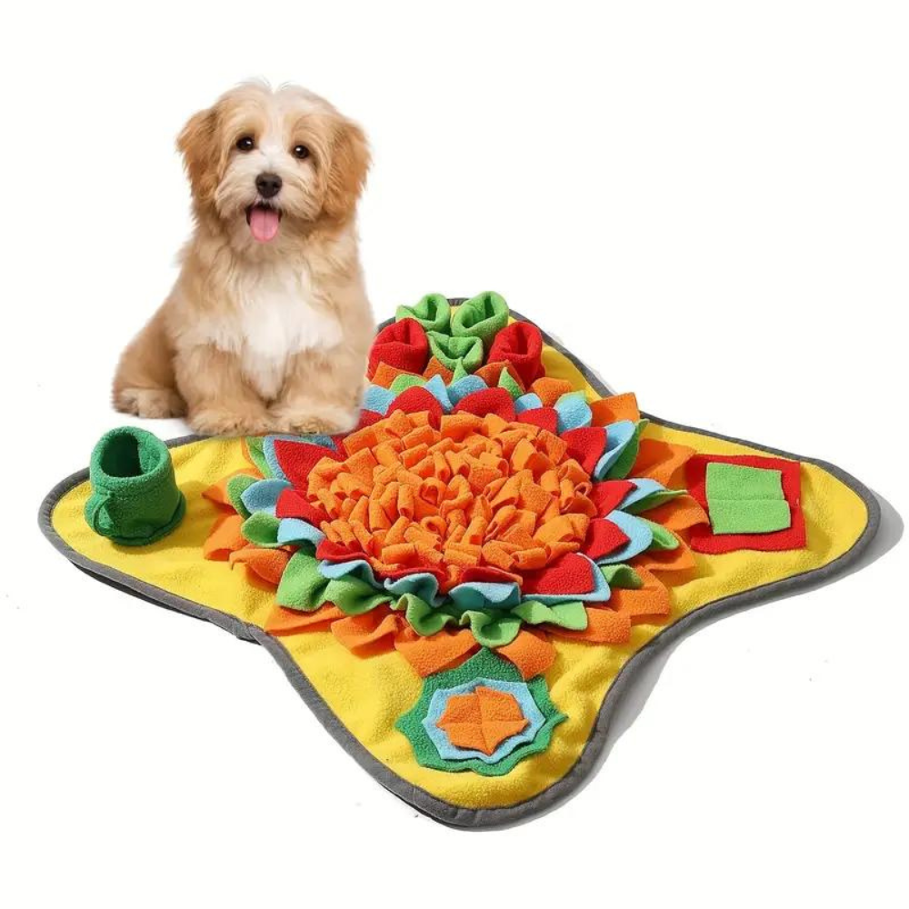 ForageFun• Dog Snuffle Mat