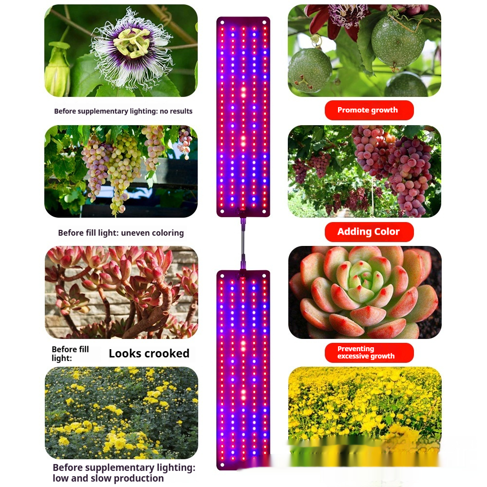 BowLift | LED Quantum Plant Light Panel for Growth and Color Promotion – With Adjustable Light Mode