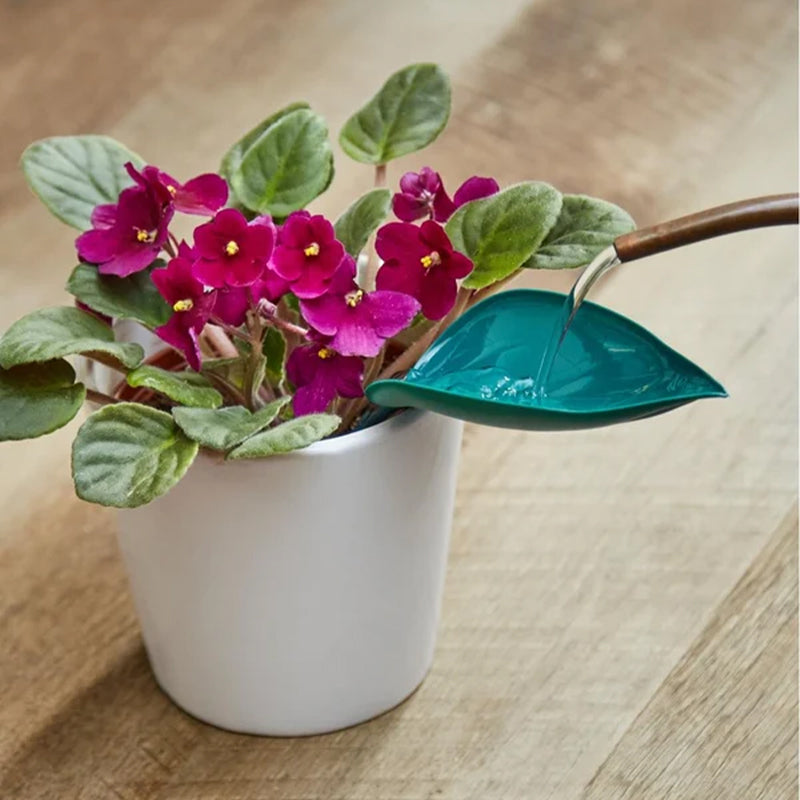 BowLift | Funny Watering Leaves (6pcs)