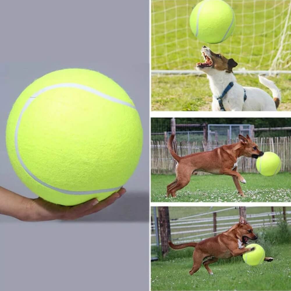 MegaFetch • Dog Tennis Ball