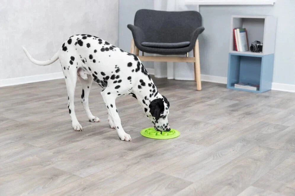 BowLift | Silicone Feeding Mat for Slow Eating – 24 cm