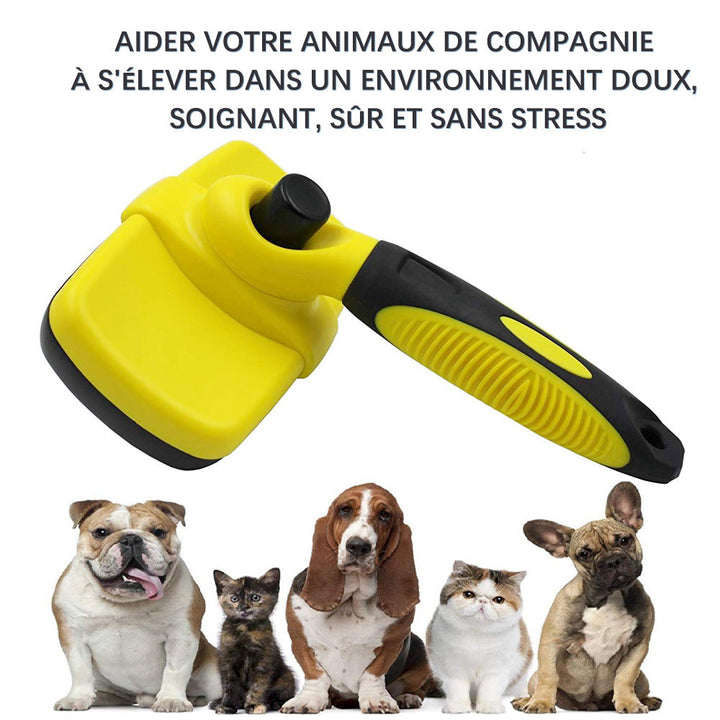 Ciaovie Brush for Pet Cleaning | Bowlift