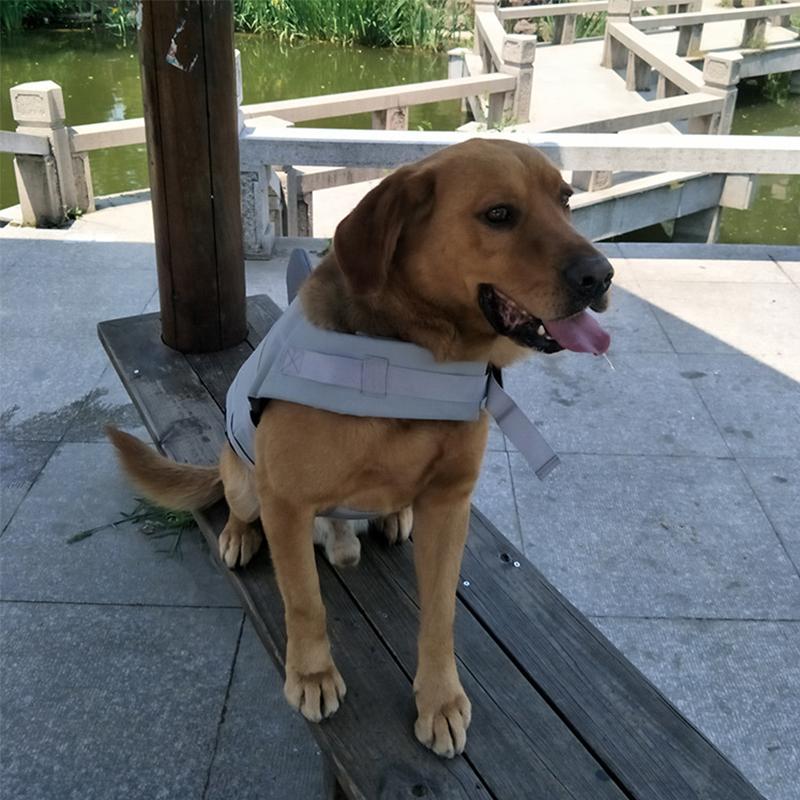 BowLift | Dog Swim Safety Jacket