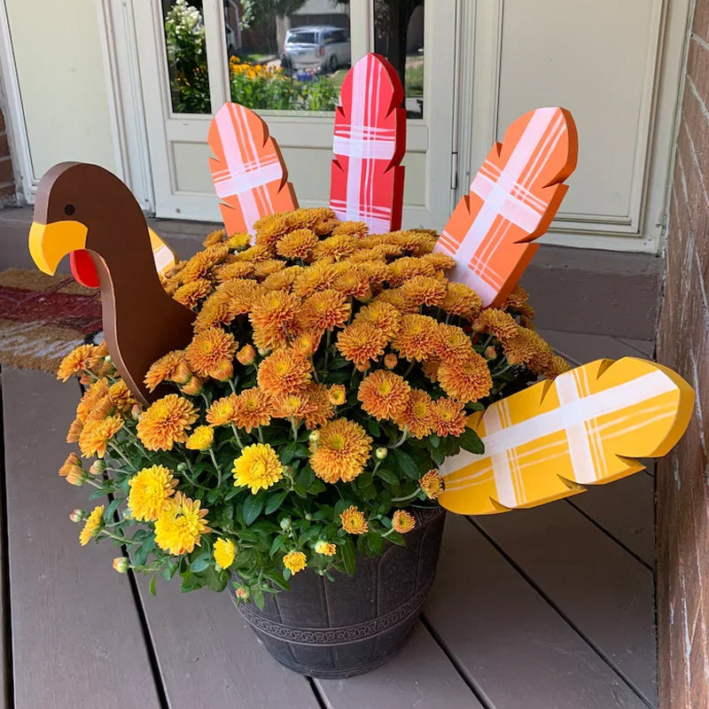 BowLift | Thanksgiving Turkey Decorating