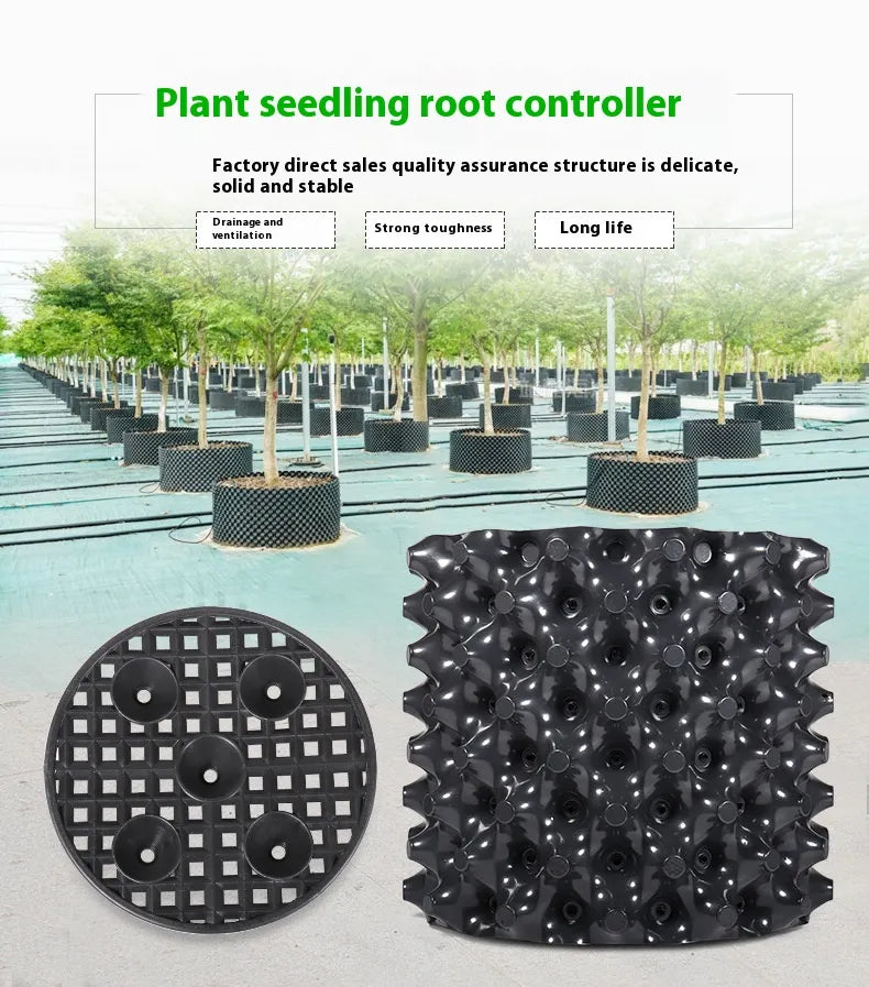 BowLift | Root control device for plants and landscaping to promote healthy growth