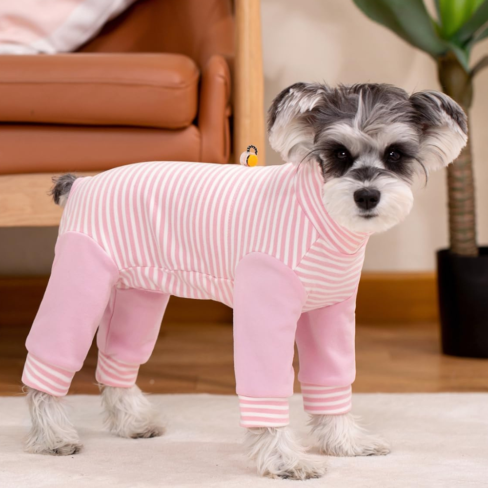 Anti-Licking • Dog Recovery Suit