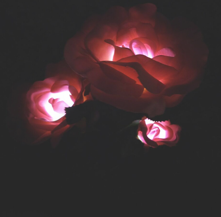 BowLift | Solar-powered rose lights – garden stakes with solar panel for decorative lighting