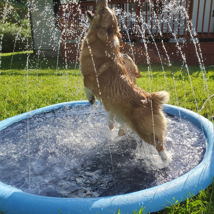 BowLift | Folding Pet Bathing Pad