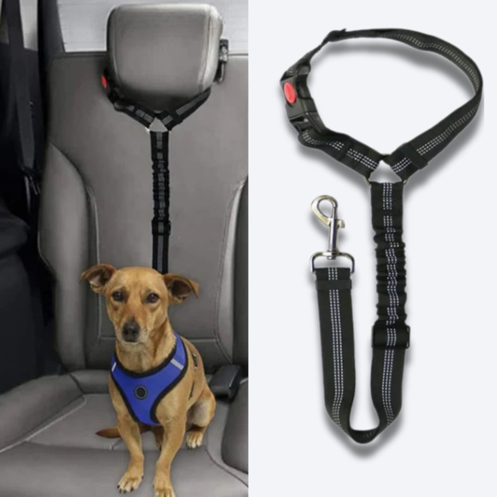 SecureRider • Car Seat Belt