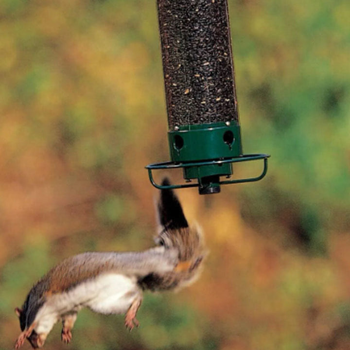 BowLift | Squirrel-proof bird feeder