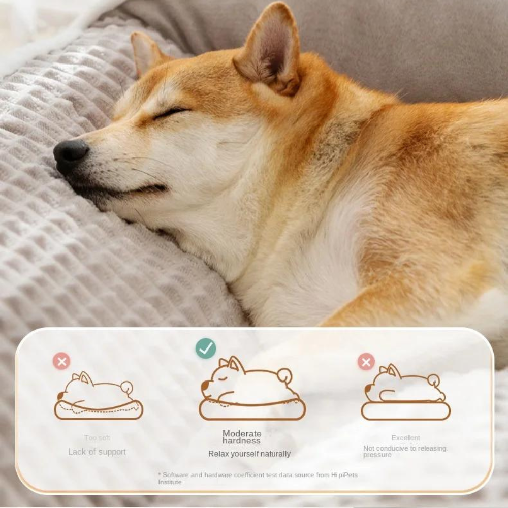 PlushPal • Comfortable Dog Sofa Cushion