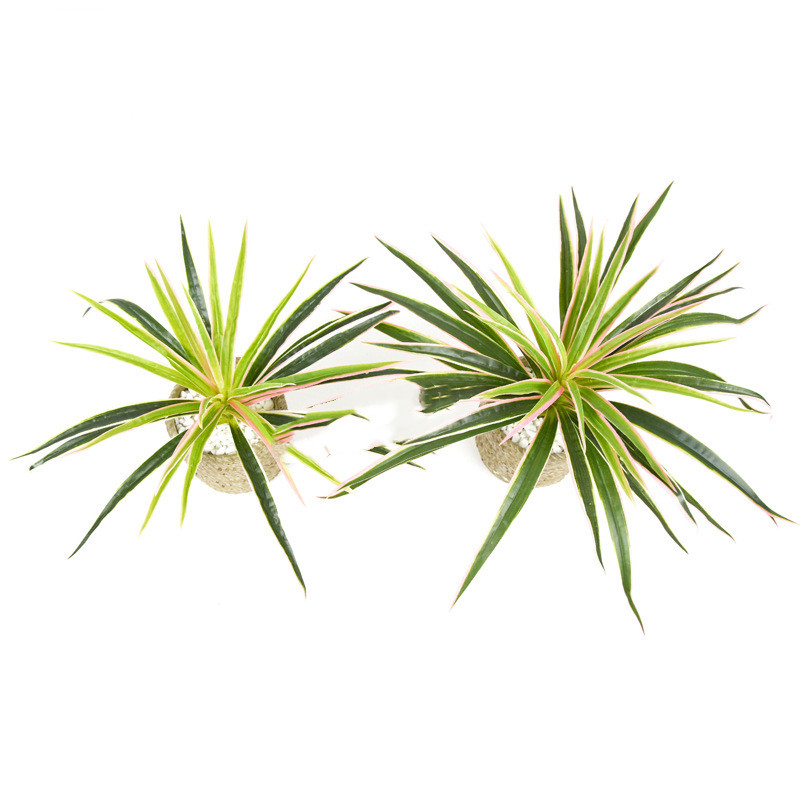 BowLift | Artificial Grass Plant – Decorative Plant for Home and Office