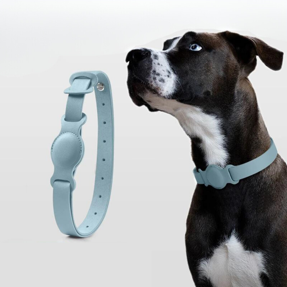 LuxeLeather • AirTag Dog Collar