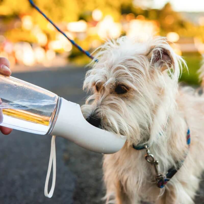 AquaPaws • Portable Dog Water Bottle