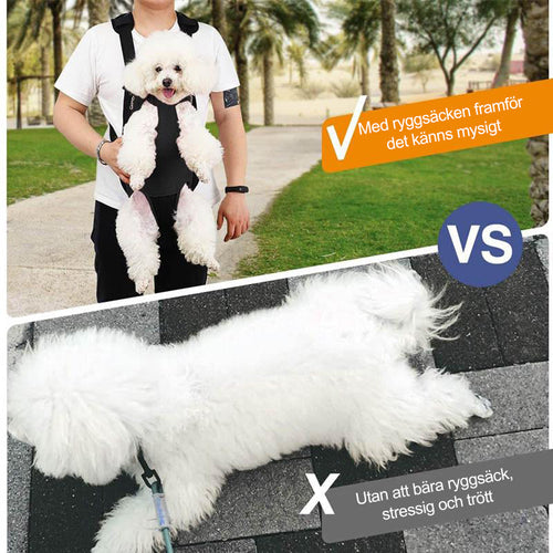 BowLift | Pet Backpack Front