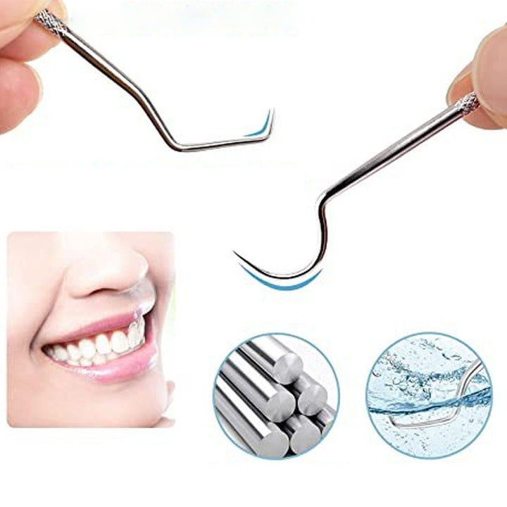 BowLift | Stainless Steel Toothpick Set