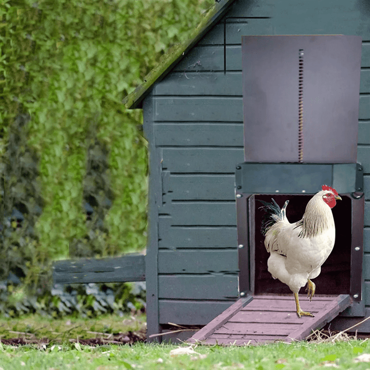 BowLift | Poultry Farm Automatic Chicken House Door