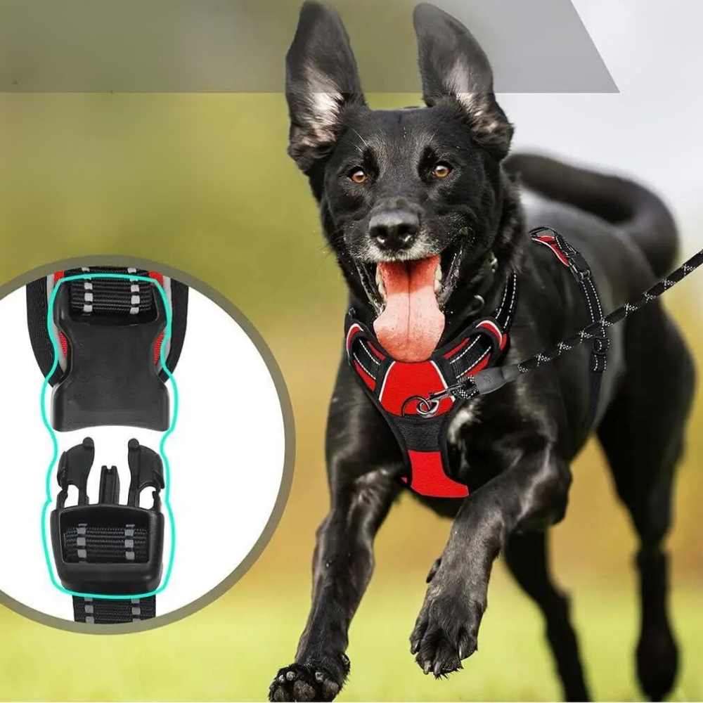 PowerPaw  • No Pull Dog Harness