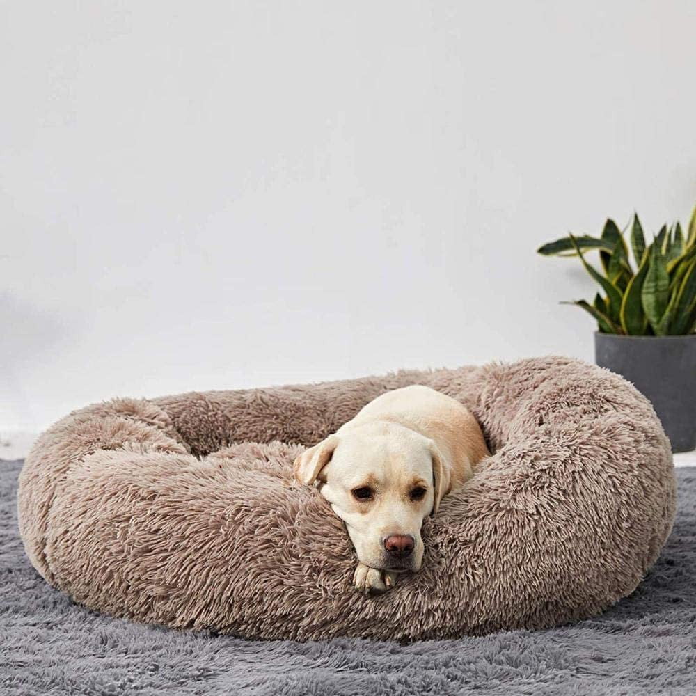 BowLift | Orthopedic Plush Donut Dog Bed