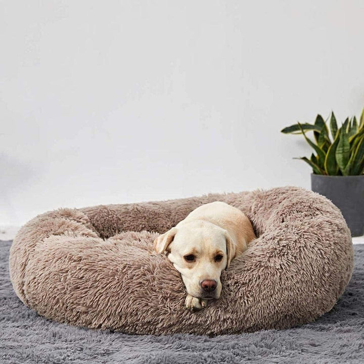 BowLift | Orthopedic Plush Donut Dog Bed