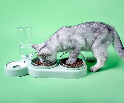 BowLift | Multifunctional Feeding Station for Pets with Dishwasher Safe Plates