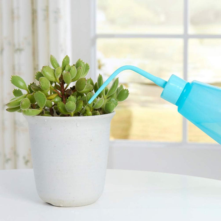 BowLift | Succulent Garden Tool Set with Spray Bottle and Accessories