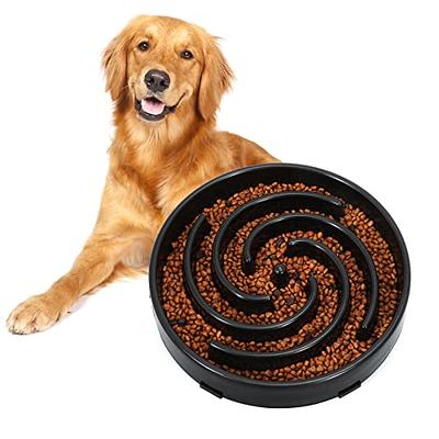 PuzzleFeast • Dog Feeding Bowl Slow