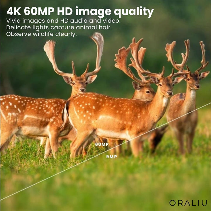 BowLift | 4K Ultra HD Wildlife Camera – 60MP with App Control