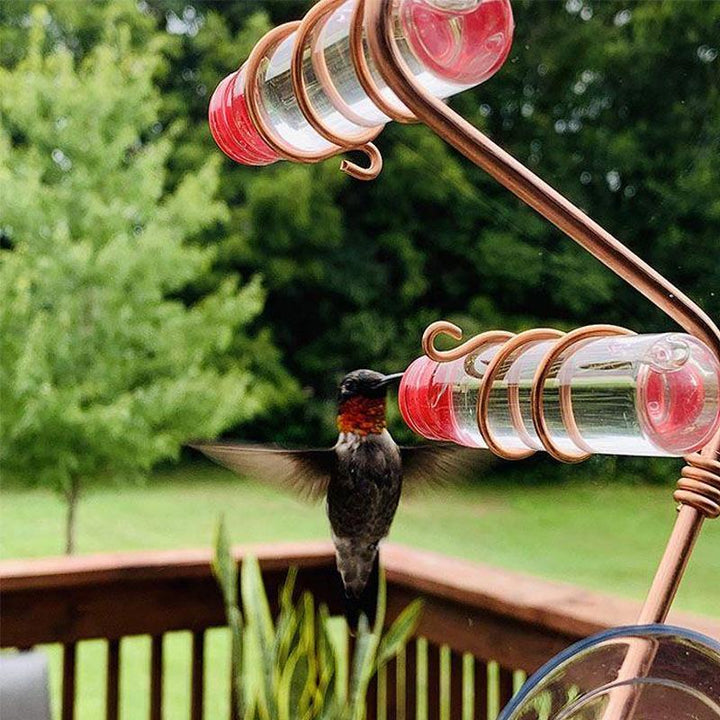 BowLift | Window Hummingbird Feeder