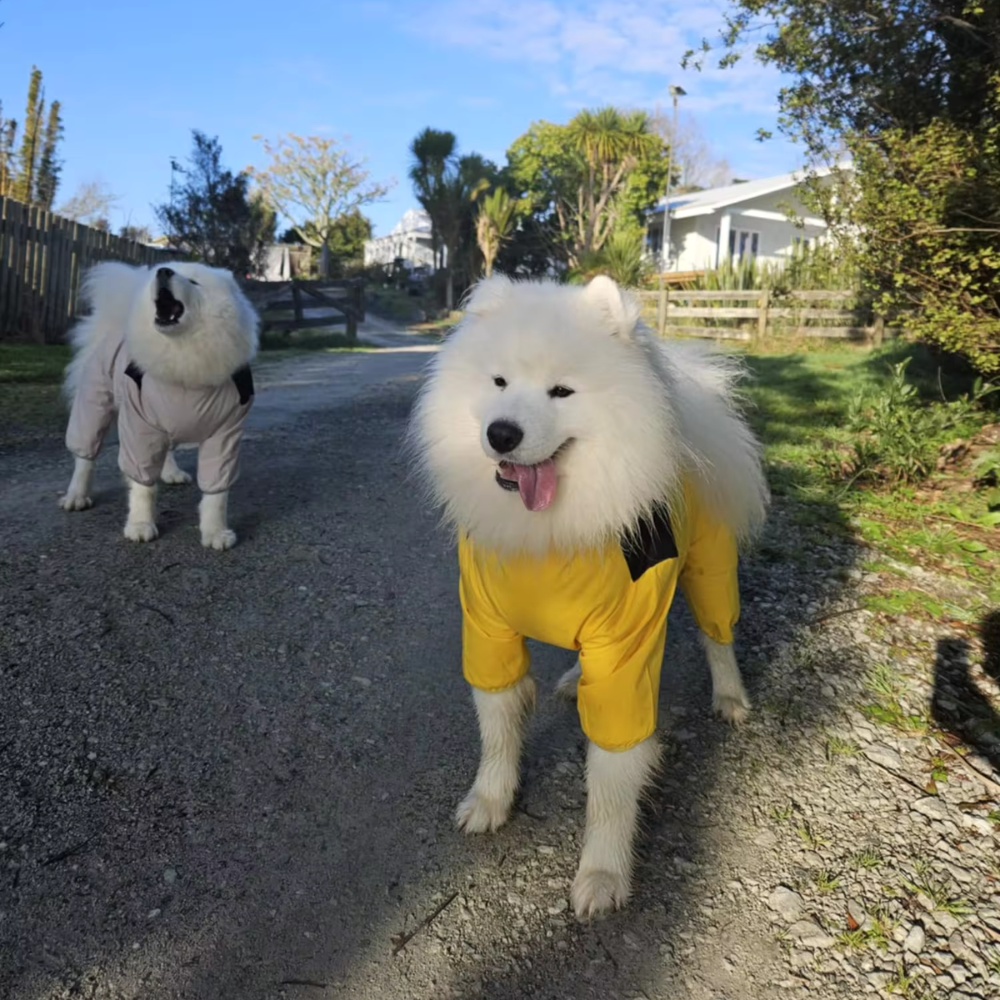 StormGuard • Dog Waterproof Raincoat