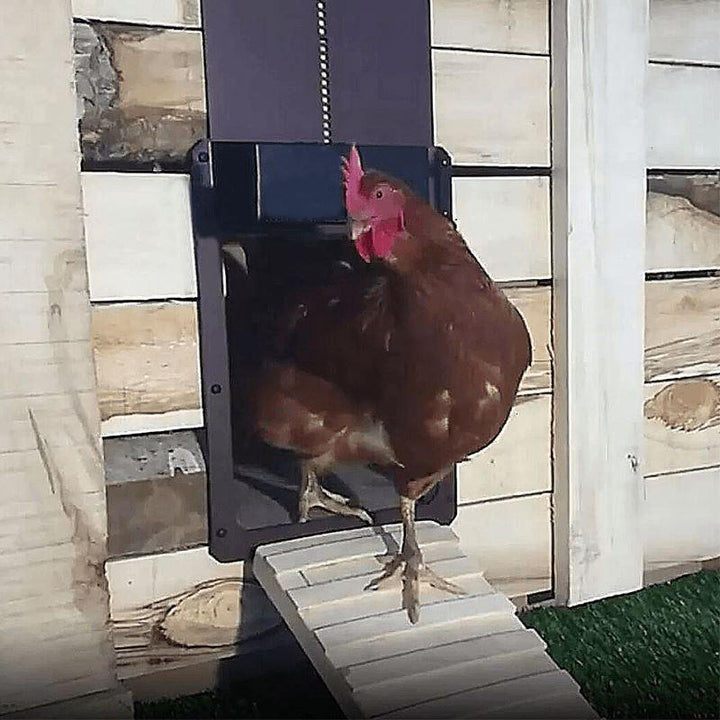 BowLift | Poultry Farm Automatic Chicken Coop Door