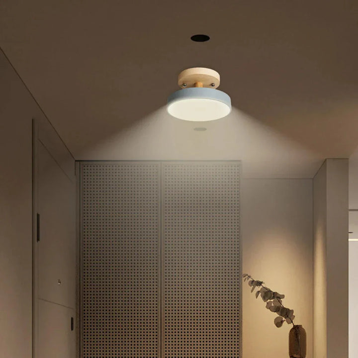 BowLift | Compact Modern LED Ceiling Lamp