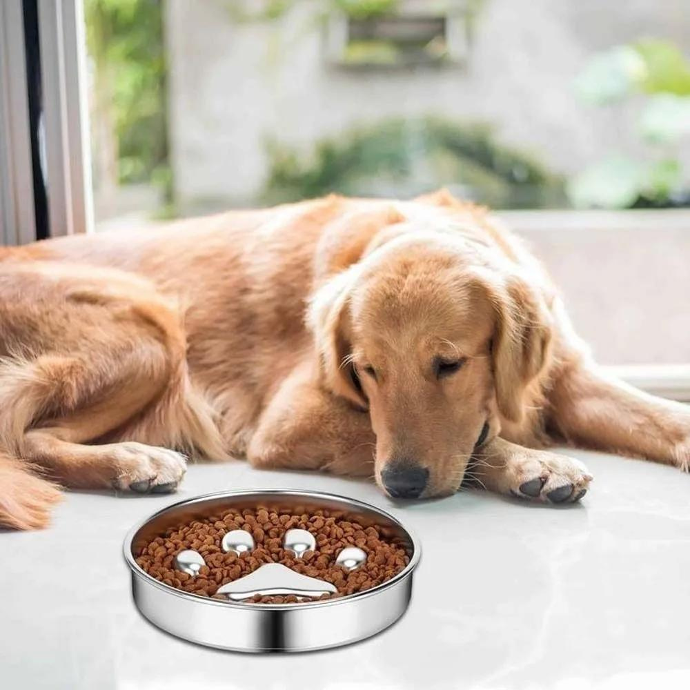 SlowFeast • Dog Feeding Bowl Slow