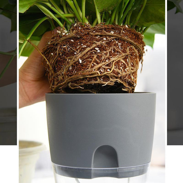 BowLift | Self-watering Hydro-Flower Pot