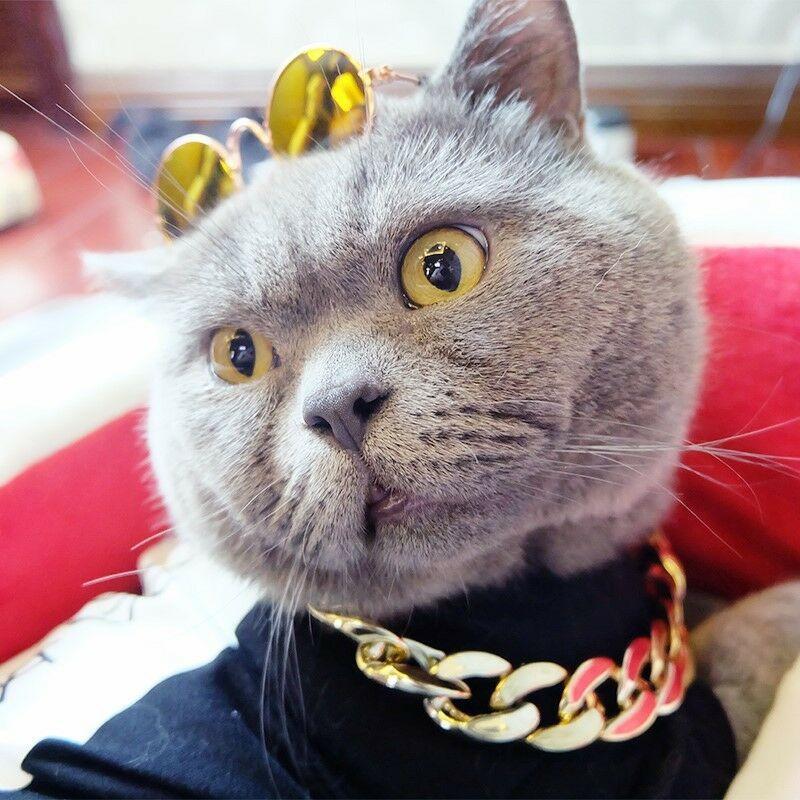 BowLift | Pet Jewelry Thick Gold Chain Collar